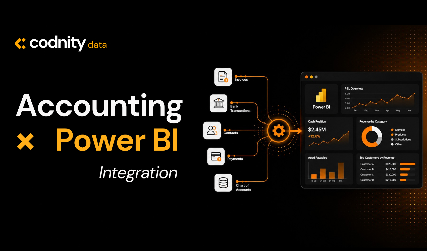 Accounting Data × Power BI Integration